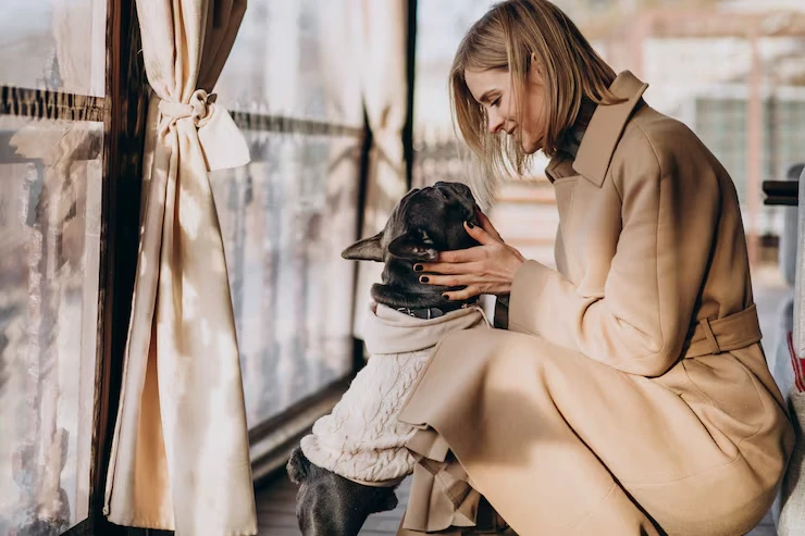 Luxury Dog Transport Services In UK