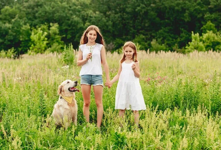 More than 60% of pet owners report travel-related stress