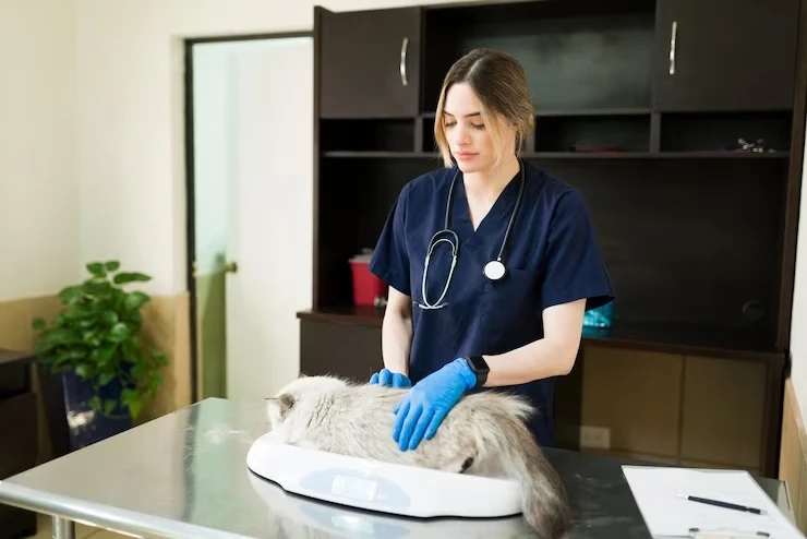 Personal Pet Management and Daily Coordination Across the UK