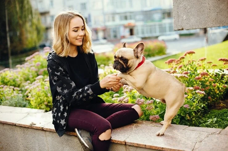 Pet Transport Services From the UK to Denmark