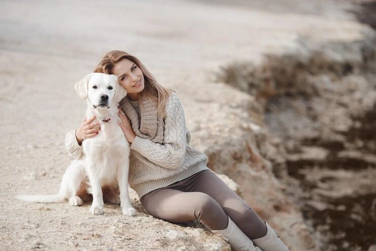 Pet Transport Services From the UK to Greece