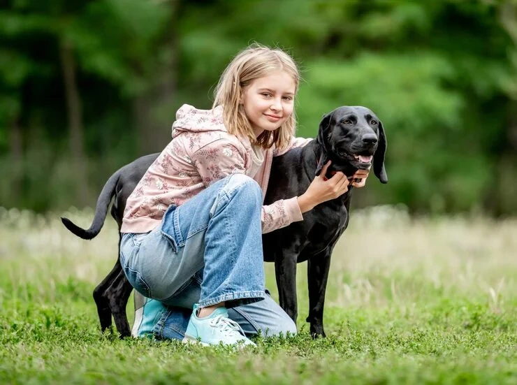 Pet Travel Crate Guidance and Preparation