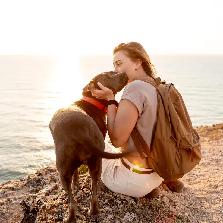 Pet Welfare Focused Long-Distance Travel