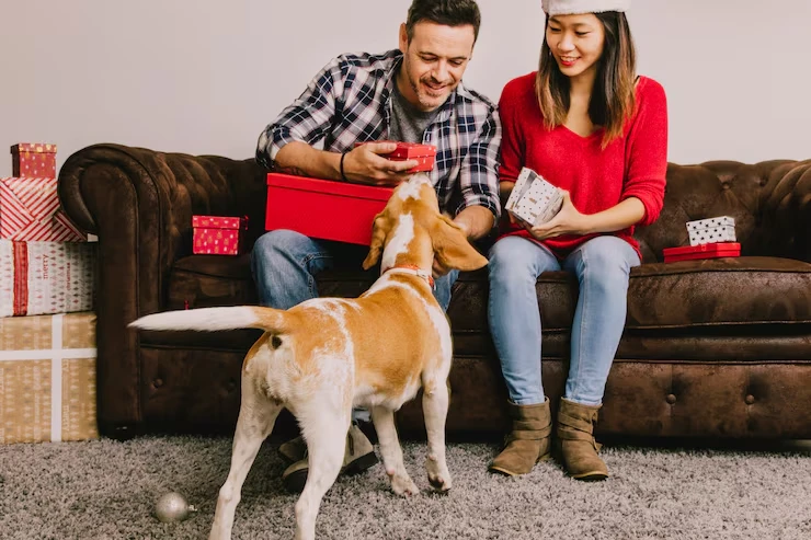 Priority Eaxecutive Family Pet Relocation Services