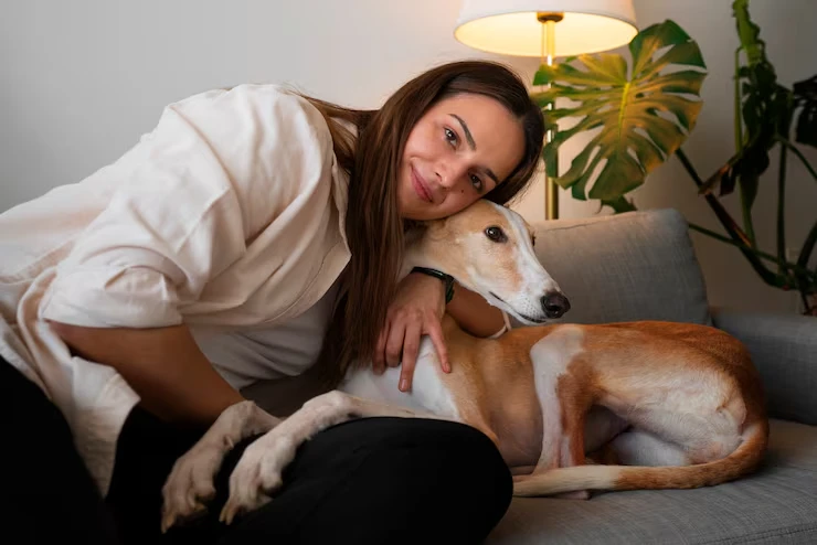 Priority Pedigree Dog Relocation Across the UK