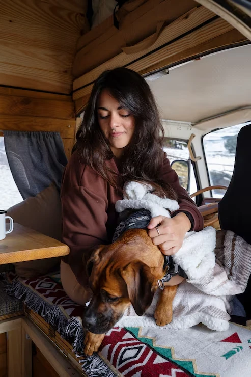 Private Jet Pet Flights Between the UK and Spain