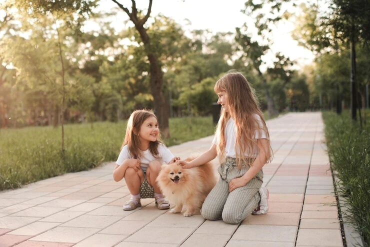 Private Jet Pet Transport Services From the UK to Denmark