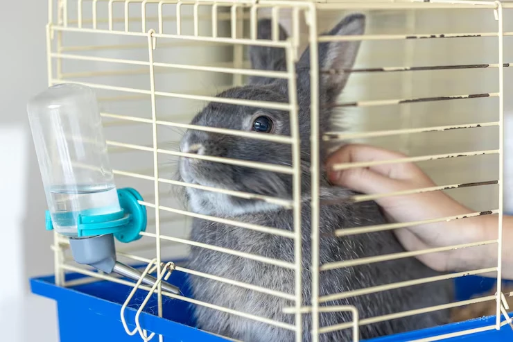 Secure and Species Appropriate Enclosures
