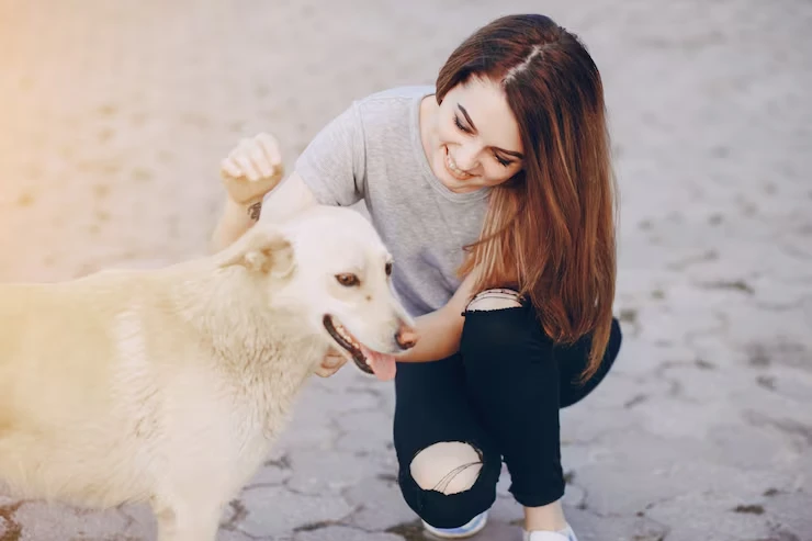 Spain Relocation Support for Pets and Owners