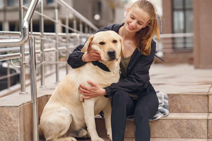 Specialist Handling for Pedigree Dogs