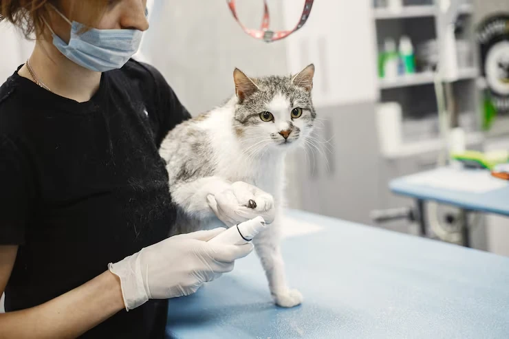 Veterinary Coordination Across the UK