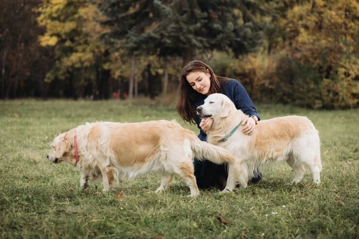 Veterinary Coordination and Health Certification