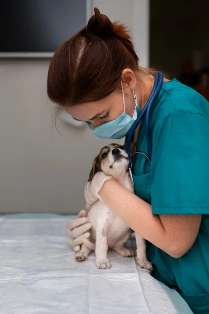 Veterinary Coordination and Health Support Across tthe UK