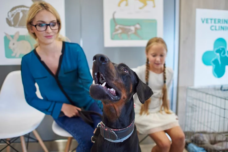 Veterinary Coordination and Health Supportr
