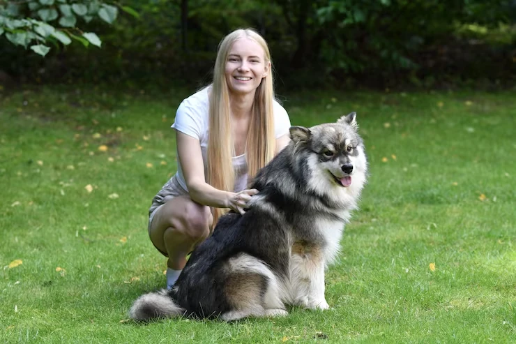 Veterinary Coordination and Pre-Travel Health Checks​