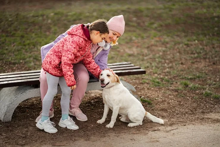 Welfare-Focused Long Distance Dog Transport