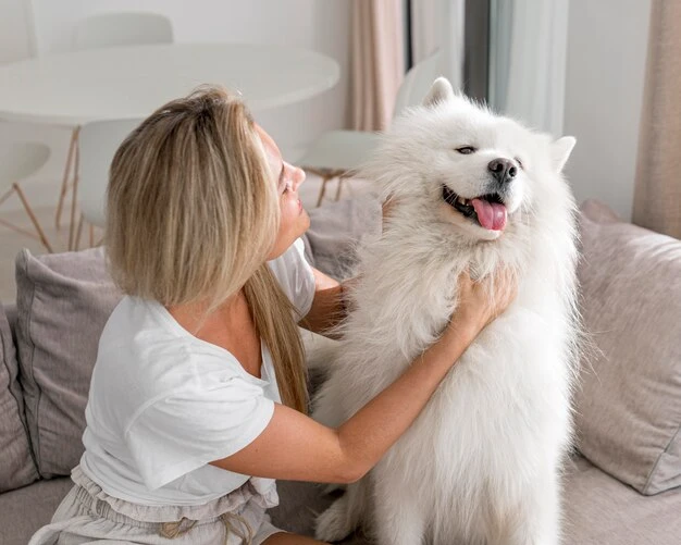 White Glove Pet Relocation