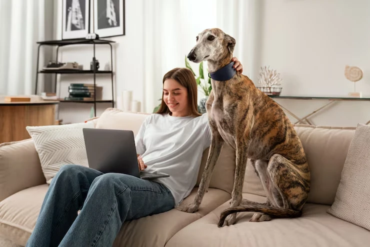 indutry statics for coorporate pets